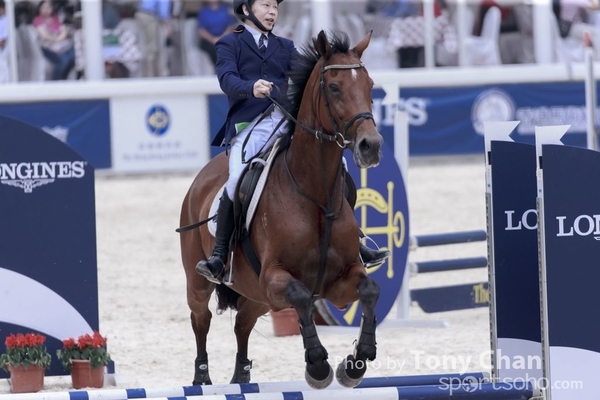 LonginesJumping_270