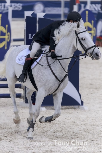 LonginesJumping_286