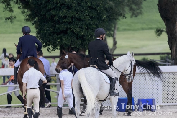 LonginesJumping_295