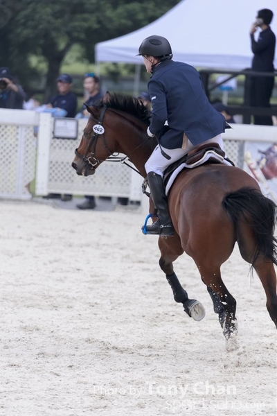LonginesJumping_311