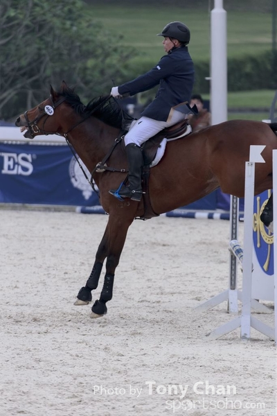 LonginesJumping_312