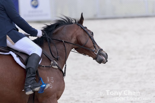 LonginesJumping_314