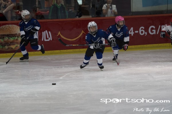 Mega Ice Hockey 5s (2)