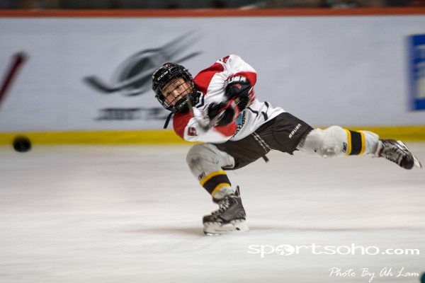 Mega Ice Hockey 5s (4)