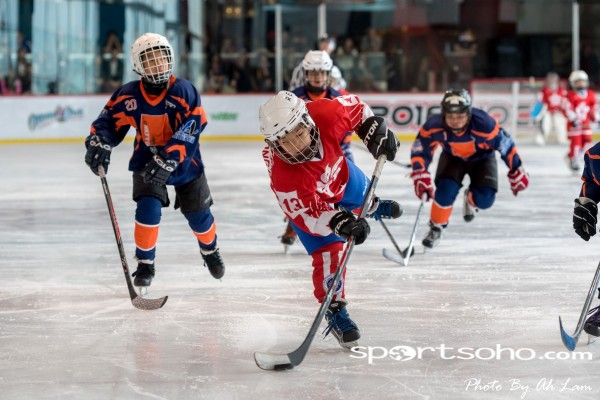 Mega Ice Hockey 5s (14)