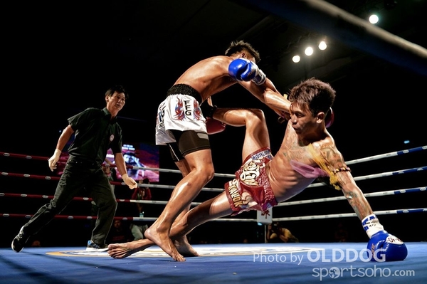 MuayThai (5)