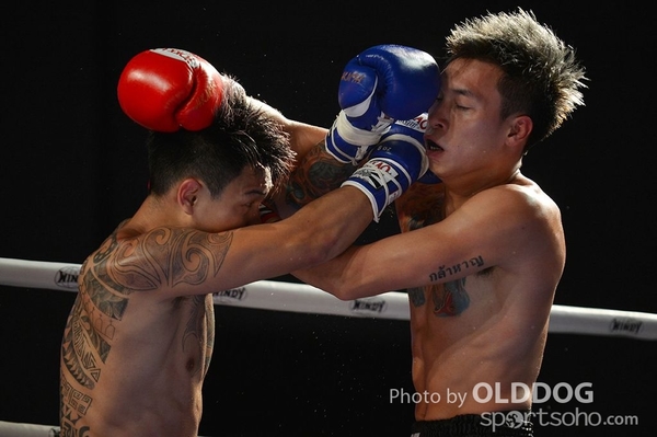 MuayThai (8)