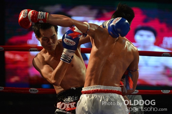 MuayThai (113)