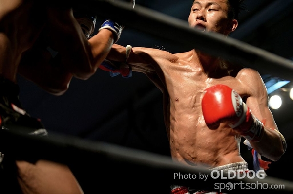 MuayThai (117)