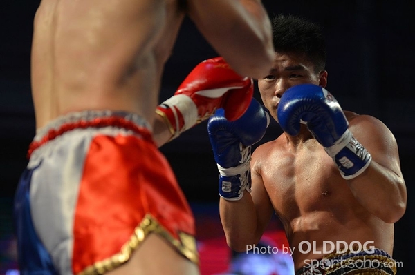 MuayThai (158)