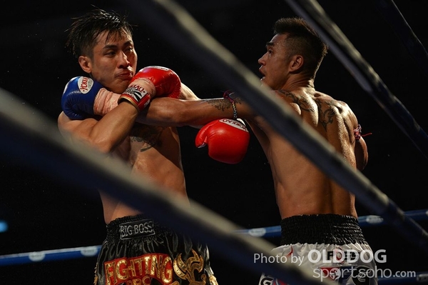 MuayThai (178)