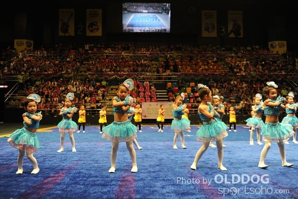 Gymnastics (4)