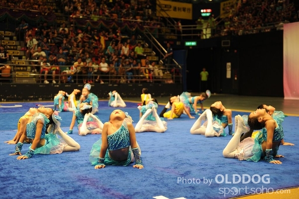 Gymnastics (5)