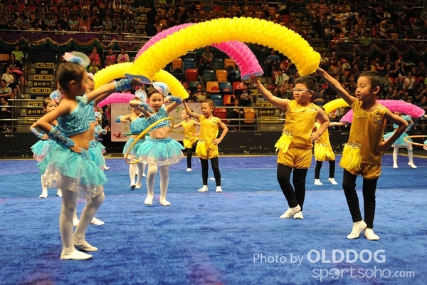 Gymnastics (6)