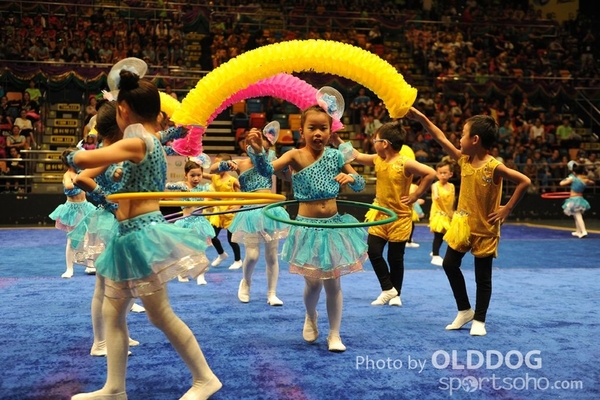 Gymnastics (8)