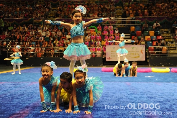 Gymnastics (12)