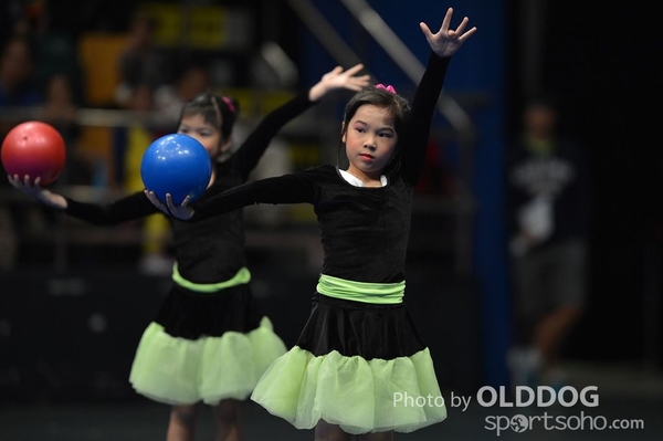 Gymnastics (19)