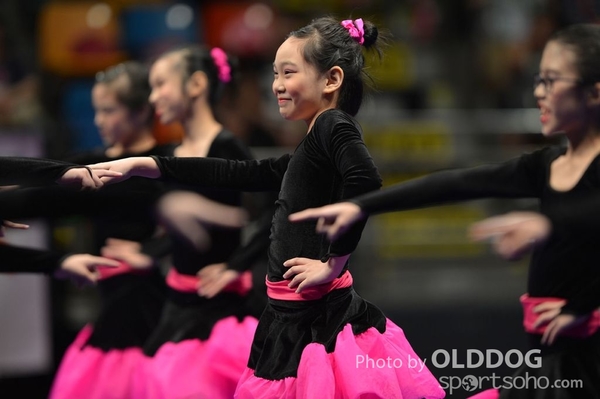 Gymnastics (20)