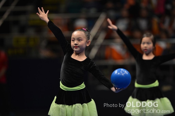 Gymnastics (21)