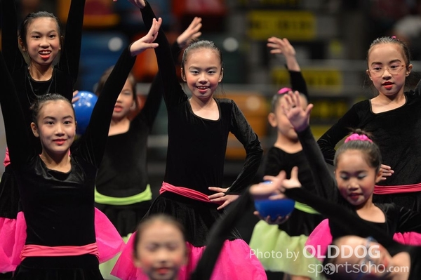 Gymnastics (28)