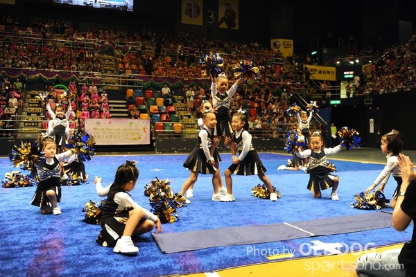 Gymnastics (40)