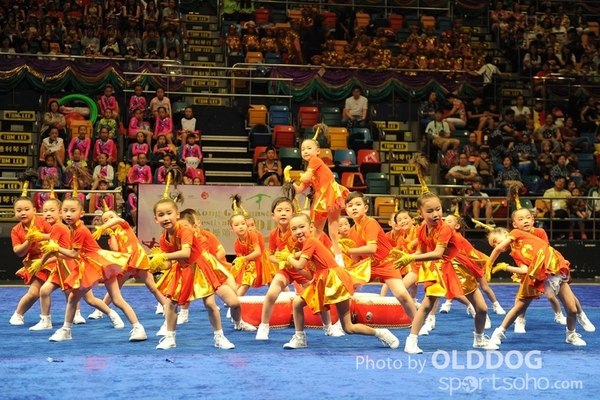 Gymnastics (51)