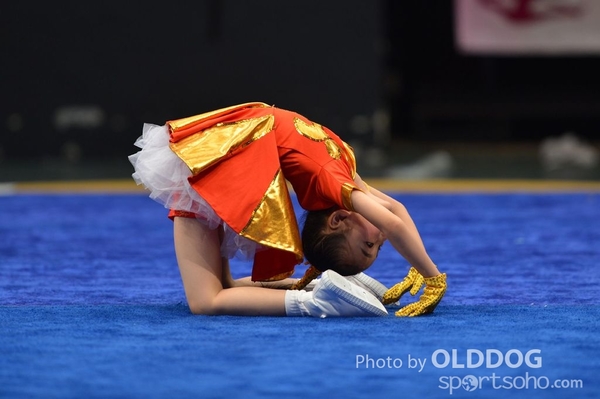 Gymnastics (55)