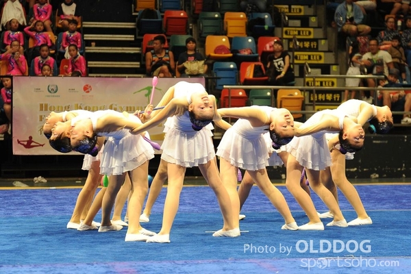 Gymnastics (66)