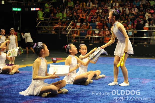 Gymnastics (68)