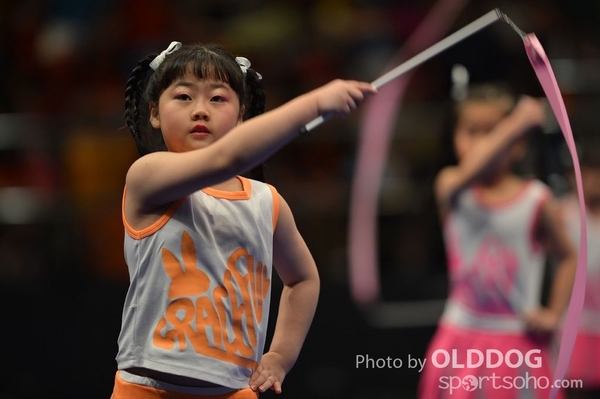 Gymnastics (95)