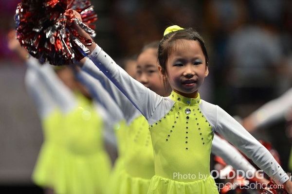 Gymnastics (110)