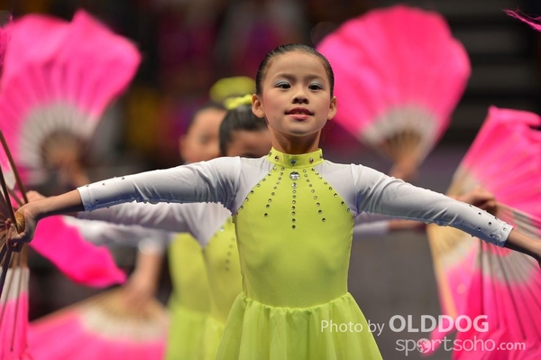 Gymnastics (114)