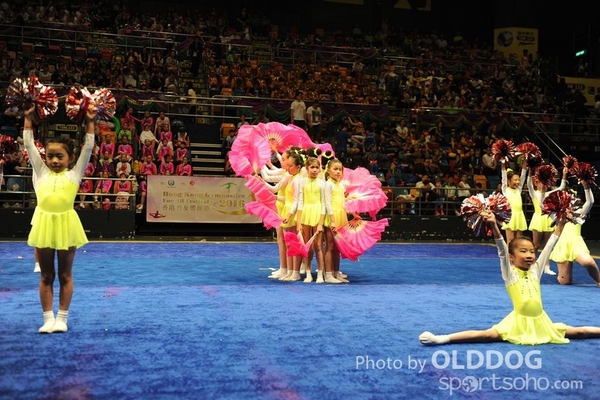 Gymnastics (118)