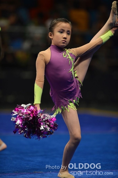 Gymnastics (126)