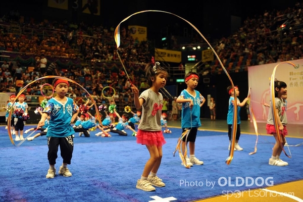 Gymnastics (132)