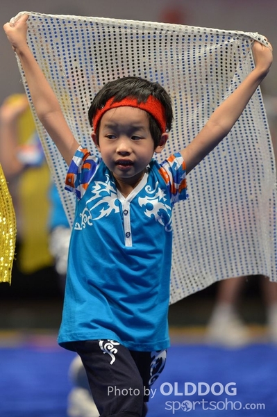 Gymnastics (137)