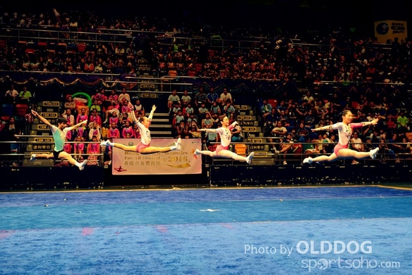 Gymnastics (147)