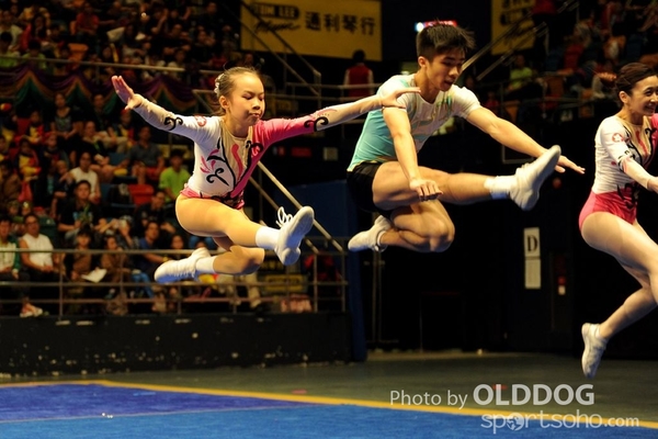 Gymnastics (150)