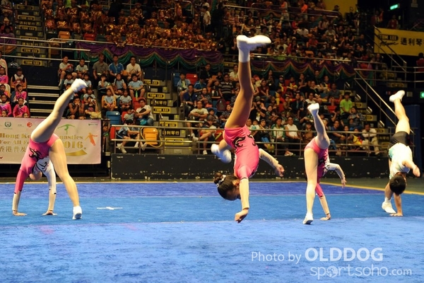 Gymnastics (151)