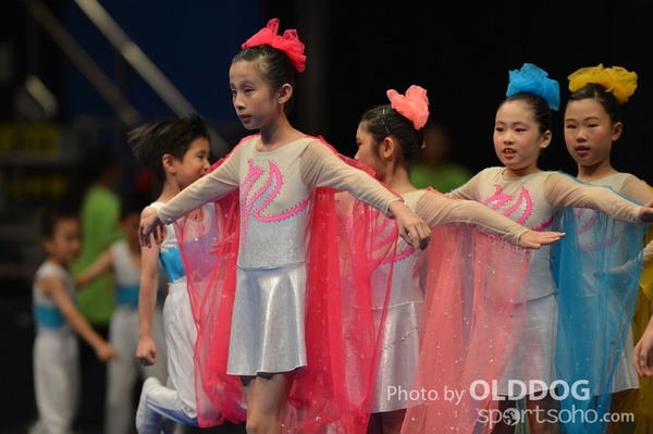 Gymnastics (153)