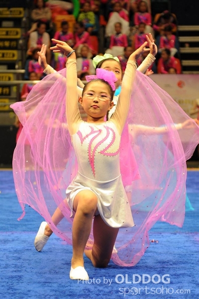 Gymnastics (155)