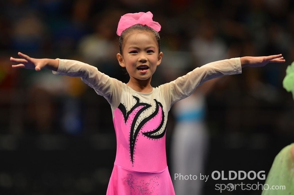 Gymnastics (156)