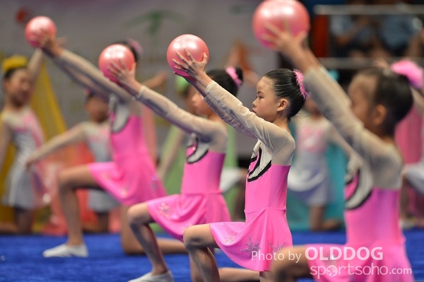 Gymnastics (158)