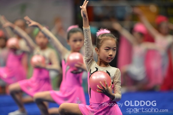 Gymnastics (160)