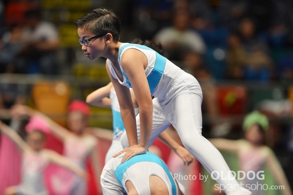 Gymnastics (161)