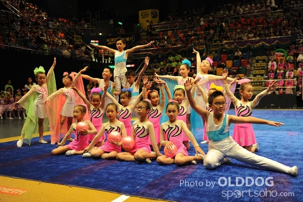 Gymnastics (163)