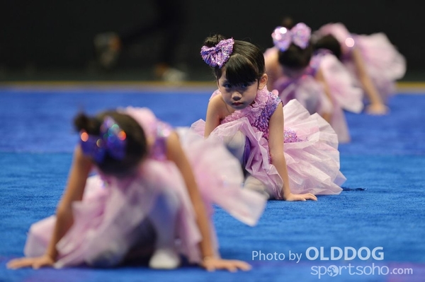 Gymnastics (165)