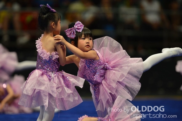 Gymnastics (173)