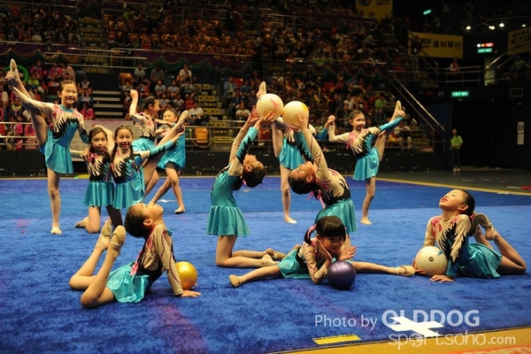 Gymnastics (202)