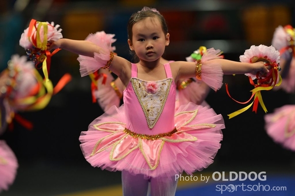 Gymnastics (206)